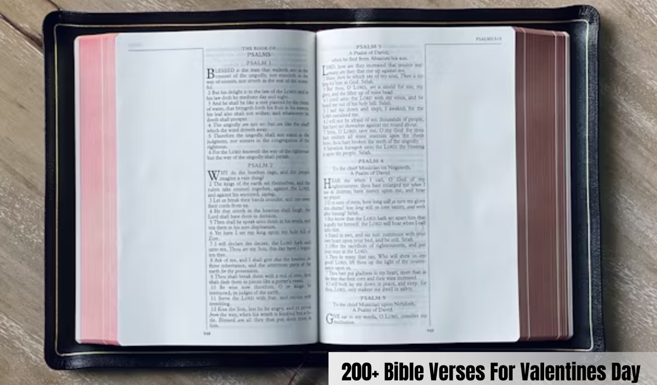 Bible Verses For Valentines Day 200+ Bible Verses For Valentines Day