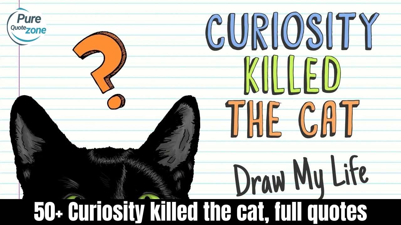 Curiosity killed the cat, full quotes